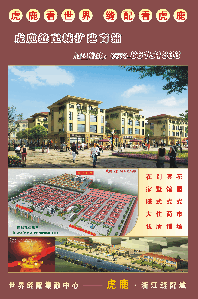 市场简介